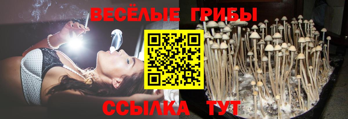 цены наркотик  Вход с VPN  Семёнов  Галлюциногенные грибы прущие грибы 